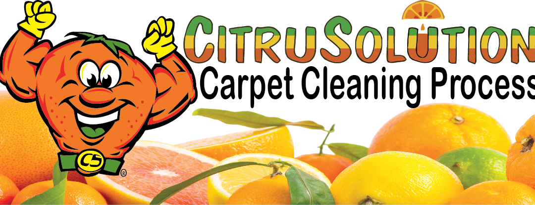 Franchise Interview: Paul Romanick, Founder and Owner of CitruSolution Carpet Cleaning