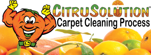 Franchise Interview: Paul Romanick, Founder and Owner of CitruSolution Carpet Cleaning