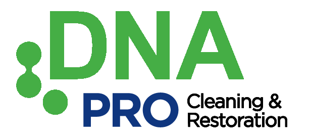 Franchise Interview: Dragan Krstic, Founder and CEO of DNA Pro Cleaning & Restoration
